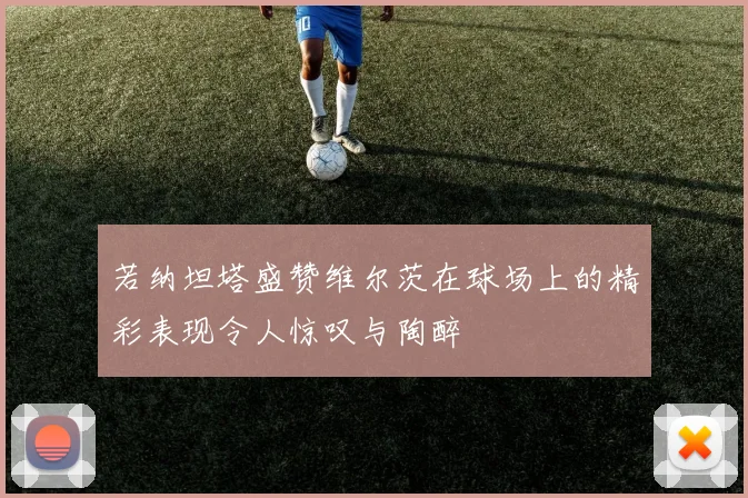 若纳坦塔盛赞维尔茨在球场上的精彩表现令人惊叹与陶醉