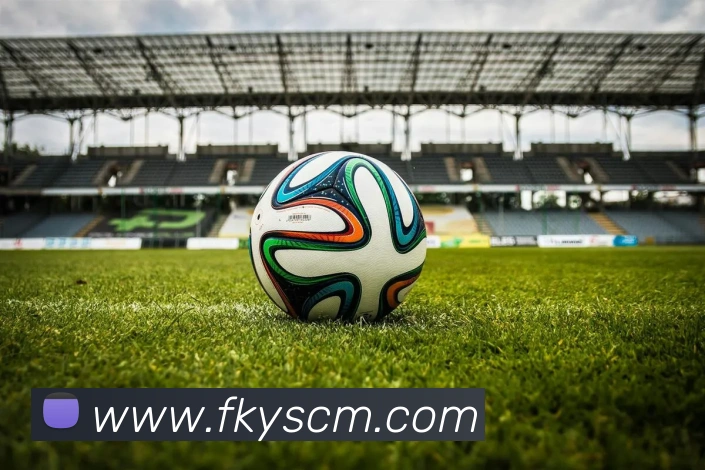 j9游会发展历程